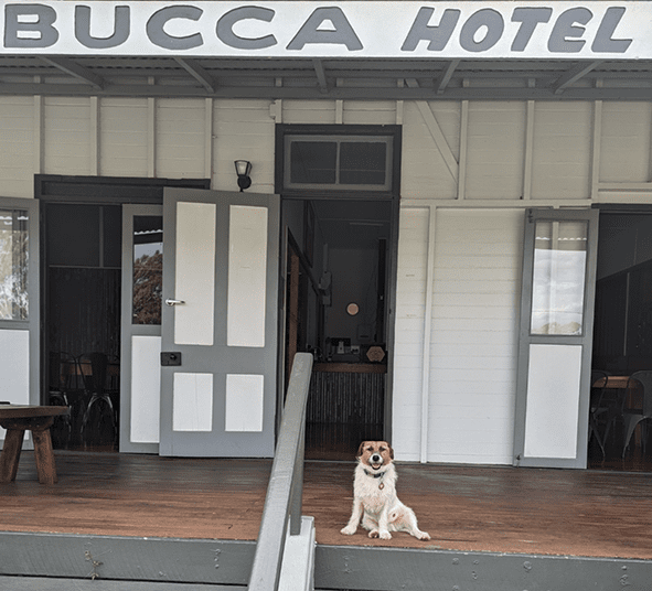 Bucca Hotel patrons enjoying live music 